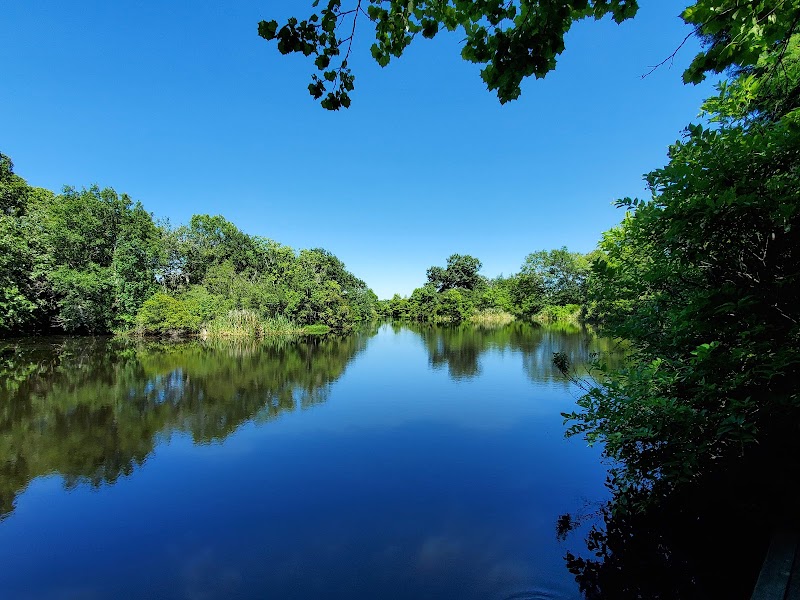 Armand Bayou Nature Center - Photo 3