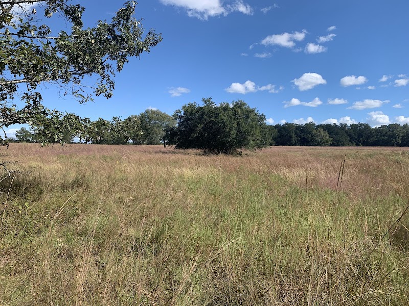 Armand Bayou Nature Center - Photo 4