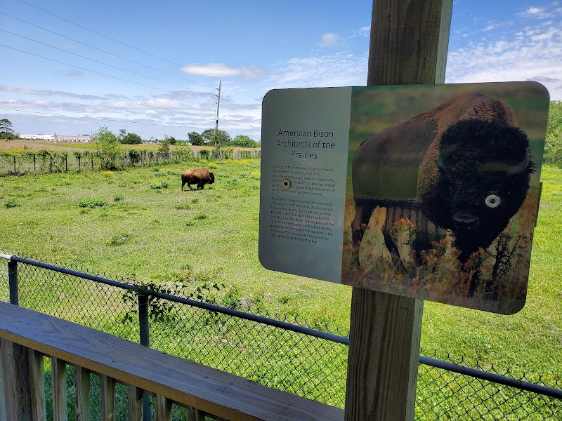 Armand Bayou Nature Center - Photo 5