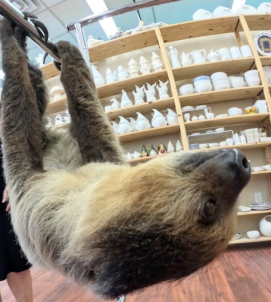 Arts On Fire - Photo 4