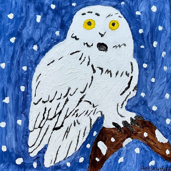 Creation Studio Dallas - Photo 2