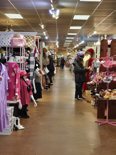 Gracie Lane - Photo 3