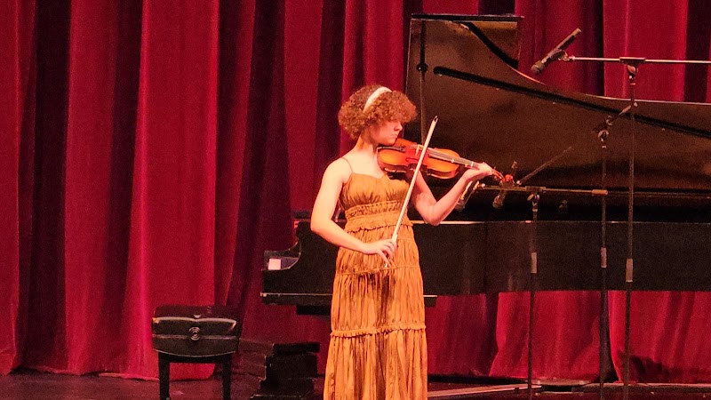 Irving Fine Arts Academy - Photo 2