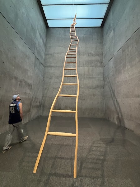 Modern Art Museum of Fort Worth - Photo 2