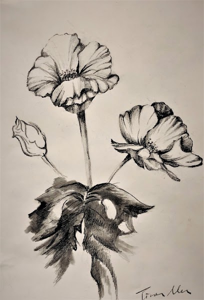 MYT Art Studio & Gallery