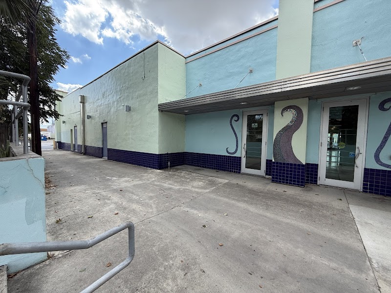 Network For Young Artists