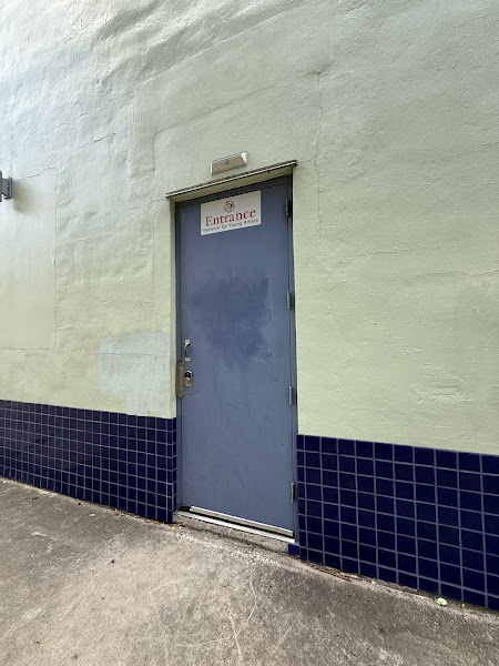 Network For Young Artists - Photo 2