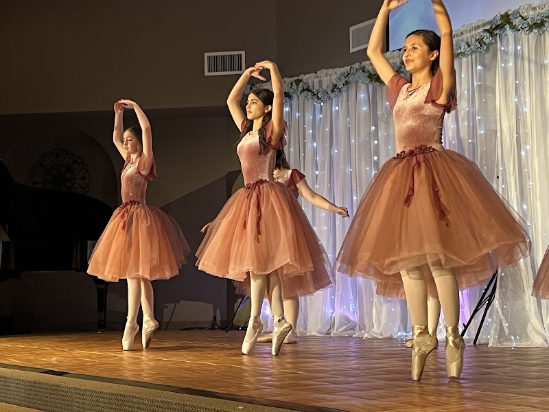 SonShine Performing Arts Academy - Photo 4