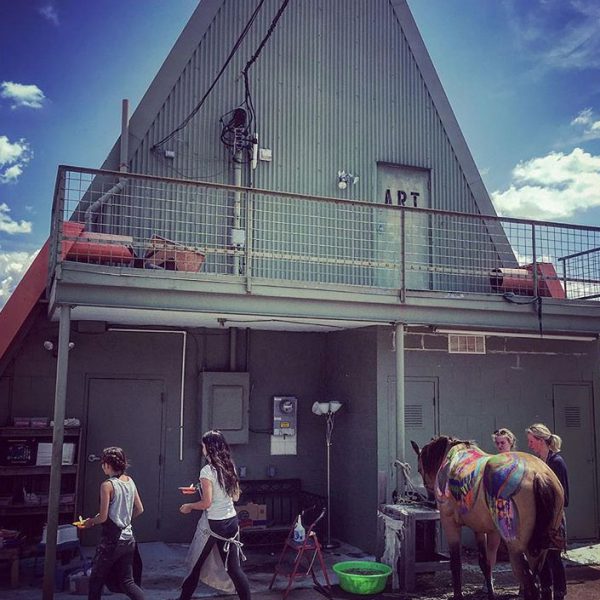 Studio Arts Dallas - Photo 4