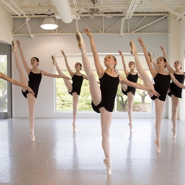 The Dallas Conservatory - Photo 3