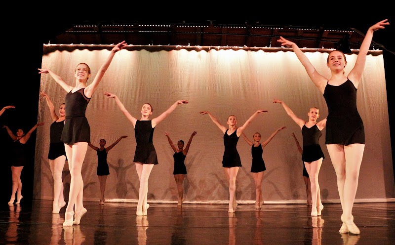 Fort Worth Academy of Fine Arts - Photo 2