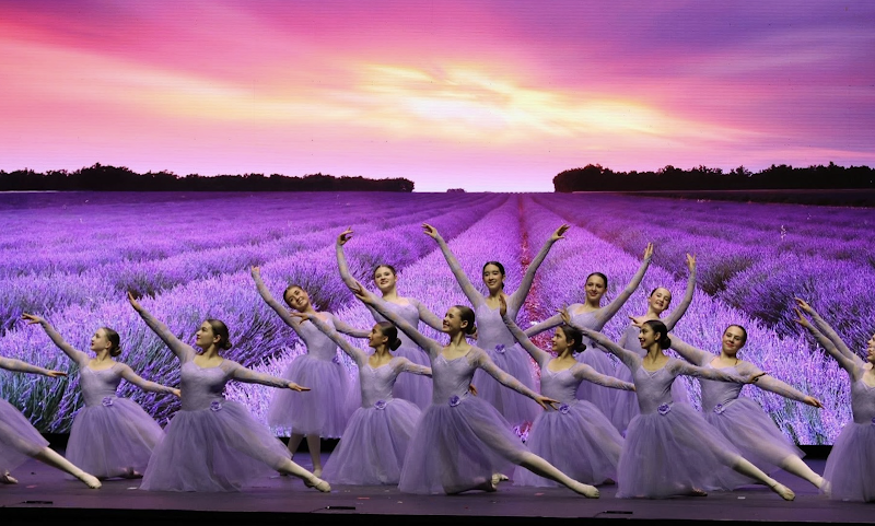 Boni's Dance & Performing Arts Studio Inc - Photo 5