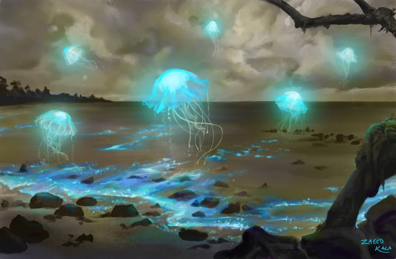 Z Art Studio and School