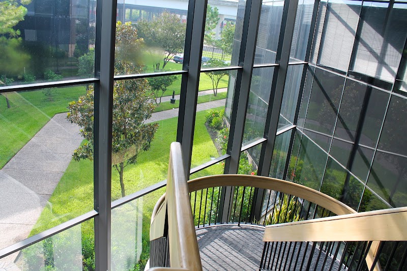 Z Art Studio and School - Photo 4